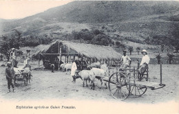 GUINEE Francaise EXPLOITATION AGRICOLE. ATTELAGES DE BOEUFS (scan Recto-verso) OO 0950 - Französisch-Guinea