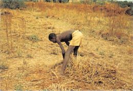 MALI Soudan Francais KAMBILA - TRAVAIL AVEC LA DABA - PETITE PIOCHE AU MANCHE TRES COURT  (scan Recto-verso) OO 0943 - Mali