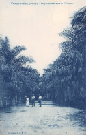 GABON   Fernan Vaz  Promenade Sous Les Palmiers  Carte Vierge   (scan Recto-verso) OO 0941 - Gabon