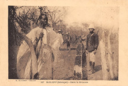 SENEGAL  DJOLOFF - DANS LA BROUSSE (scan Recto-verso) OO 0938 - Sénégal