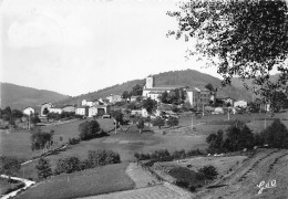 63 BRUGERON Vue Generale Côte Sud (cpsm)  (scan Recto-verso) OO 0934 - Otros & Sin Clasificación