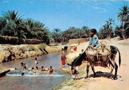 TUNISIE  TOZEUR  Les Oasis  (scan Recto-verso) OO 0995 - Tunisie