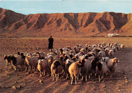 TUNISIE  GAFSA Au Milieu De La Steppe (scan Recto-verso) OO 0995 - Tunesien