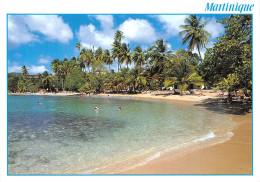 MARTINIQUE  Anse Figuier (scan Recto-verso) OO 0990 - Autres & Non Classés