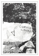 Nocario  Nucariu Corsica  Libarta Foto  Di FRANCESCU  CARDI LIBARTA Corse (scan Recto-verso) OO 0983 - Autres & Non Classés