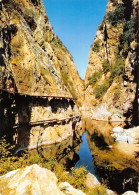 AMELIE LES BAINS  PALALDA  Les Gorges Du  MONDONY  (scan Recto-verso) OO 0979 - Other & Unclassified