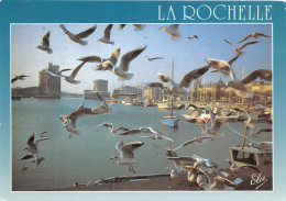 La Rochelle Les Mouettes  (scan Recto-verso) OO 0977 - La Rochelle