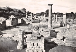 SAINT REMY DE PROVENCE   Les Antiques GLANUM Le Marche Hellenitisque (scan Recto-verso) OO 0975 - Saint-Remy-de-Provence