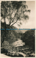 R060732 Borrowdale Birches And River Derwent. Pettitts Prize Medal - World