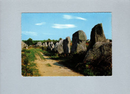 Carnac (56) : Les Alignements - Dolmen & Menhirs