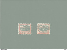SWA SUD OUEST AFRICAIN 1927 Yvert  87 + 96 Oblitéré, Cote 4 Euros - Südwestafrika (1923-1990)