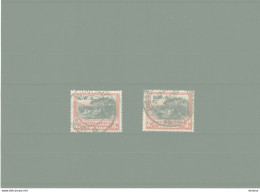 SWA SUD OUEST AFRICAIN 1927 Yvert  87 + 96 Oblitéré, Cote 4 Euros - South West Africa (1923-1990)