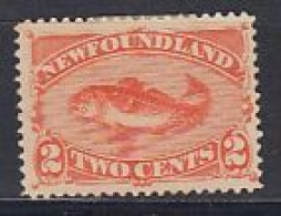 Canada New Foundland 1890 Codfish 2 Cents Mint Without Gum (59749B) - 1865-1902