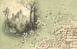 ARCHITECTURE, CASTLE, FLOWERS, SWITZERLAND, POSTCARD - Sonstige & Ohne Zuordnung