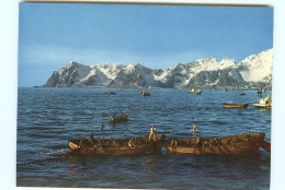 Norvège - Norway - Norge - Bateaux - Pêcheurs - Pêche Aux Filets - Fra Fisket Ved Lofoten - Fishing Boats At Lofoten - Norway