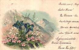 FLOWERS, MOUNTAIN, ILLUSTRATION, SWITZERLAND, POSTCARD - Blumen