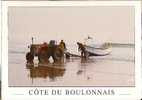 Audresselles-wissant-cote           Du Boulonnais-mise A L'eau D'un Flobart-BL 644430 -cpm - Autres & Non Classés