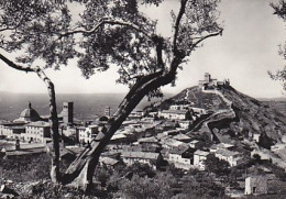 AK 210923 ITALY - Assisi - Sonstige & Ohne Zuordnung