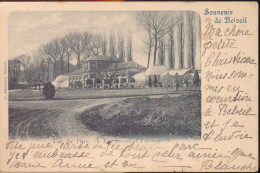 SOUVENIR DE BELOEIL. VUE DU PARC   LES SERRES ET L'ORANGERIE - Beloeil