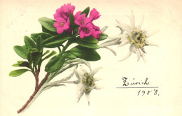 ILLUSTRATION, WHITE AND PINK FLOWERS, SWITZERLAND, POSTCARD - Unclassified