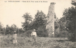 Vieillevigne * Faucheur , Ruines De La Tour Carrée Et Les Douves * Villageois - Sonstige & Ohne Zuordnung