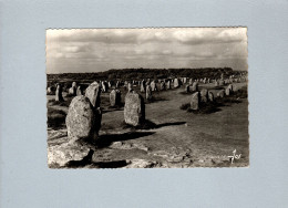 Carnac (56) : Les Alignements Du Ménec - Dolmen & Menhirs