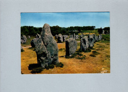 Carnac (56) : Les Alignements De Kermario - Dolmen & Menhirs