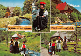 Grüße Aus Dem Schwarzwald Ngl #170.858 - Autres & Non Classés