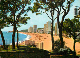 Espagne - Espana - Cataluna - Costa Brava - Playa De Aro - Playa - Plage - Immeubles - Architecture - CPM - Voir Scans R - Gerona