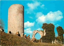 87 - Chalus - Ruines De L'église Romane Et Donjon Du Château Chabrol D'où Fût Blessé Mortellement Richard Cœur De Lion R - Chalus