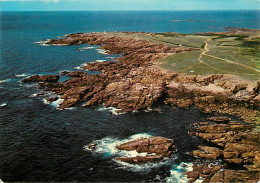 85 - Ile D'Yeu - La Côte Sauvage - Vue Aérienne - Carte Neuve - CPM - Voir Scans Recto-Verso - Ile D'Yeu