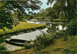 80 - Amiens - Les Hortillonnages - Carte Neuve - CPM - Voir Scans Recto-Verso - Amiens