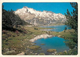 65 - Hautes Pyrénées - Vallée D'Aure - La Réserve Naturelle De Néouvielle Alt. 3091 M. Et Le Lac D'Aumar - CPM - Voir Sc - Other & Unclassified