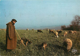 Animaux - Moutons - Le Berger Gardant Ses Moutons - Chiens - CPM - Voir Scans Recto-Verso - Autres & Non Classés