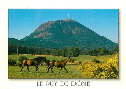 Animaux - Chevaux - Le Puy De Dome - Carte Neuve - CPM - Voir Scans Recto-Verso - Pferde