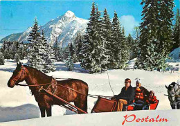 Animaux - Chevaux - Schlittenfahrt Im Herrlichen - Postalmgebiet - Salzkammergut - Voir Timbre - CPM - Voir Scans Recto- - Chevaux