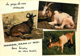Animaux - Chèvres - Carte à Message Humoristique - CPM - Voir Scans Recto-Verso - Andere & Zonder Classificatie