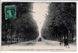 Forêt De Bellevue-meudon Avenue Du Chateau Menant A L Observatoire - Cartes Postales Ancienne - Meudon