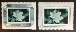 Canada 2004 Maple Leaf MNH - Trees
