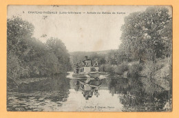 0294  CPA   CHATEAU-THEBAUD  (Loire Inférieure)  Arrivée Du Bateau De Vertou   ++++++++++++++ - Sonstige & Ohne Zuordnung