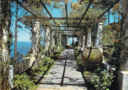 Anacapri - Villa San Michele - "La Pergola" - Altri & Non Classificati