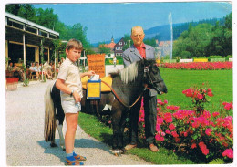 D-17138  BRAUNLAGE : Die Pony-Post ( Das Kleinste Postamt D. Härzens) - Braunlage