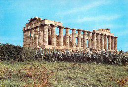 Sélinonte (Sélinunte) - Temple De Junon - Autres & Non Classés