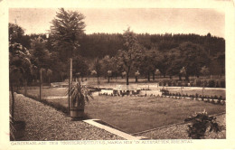 RHEINTAL, ST. GALLEN, GARDEN, SWITZERLAND, POSTCARD - Saint-Gall