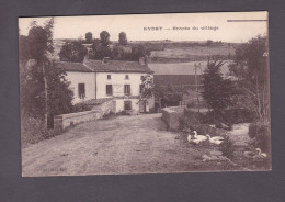 Aydat Puy De Dome Entree Du Village  ( Auberge Oies 3850) - Sonstige & Ohne Zuordnung