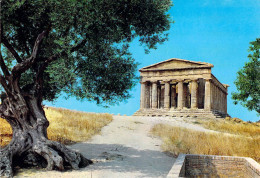 Agrigente (Agrigento) - Temple De La Concorde - Agrigento