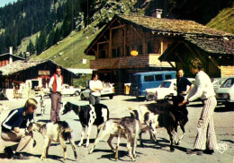 CHEVRES   / MORZINE  / 110 - Altri & Non Classificati