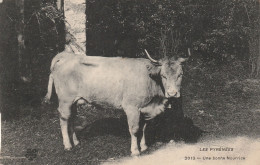 LES PYRENEES - Une Bonne Nourrice -voyagée En 1908 - Vache - Other & Unclassified