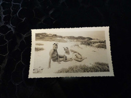 P-341, Photo ,deux Jolies Femmes En Maillot De Bain Sur La Plage De  La Baule, Août 1945 - Anonymous Persons