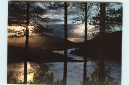 Norvège - Norway - Norge - Aftenstemning Ved Malselvfossenn - Evening Mood At The Malselvfossen Falls - état - Norway